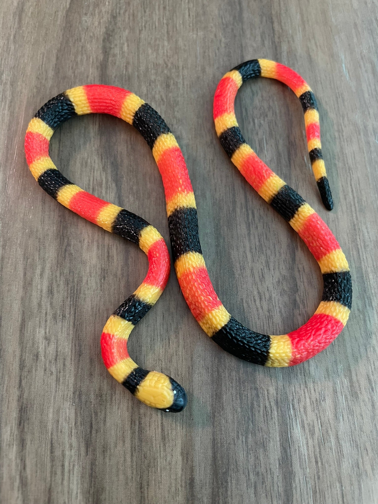 Juan Pablo the Coral Snake